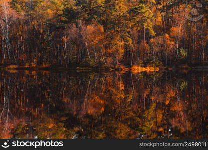 Autumn forest colorful tree reflections in lake still water