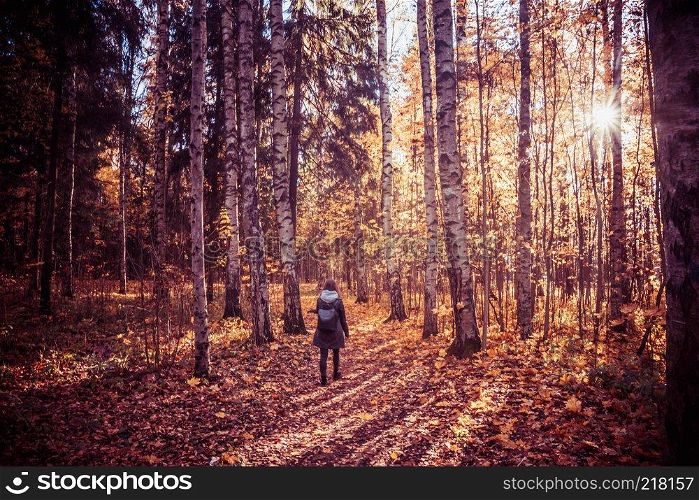 autumn forest landscape yellow leaves lie on the ground, various plants, the girl looks at the forest
