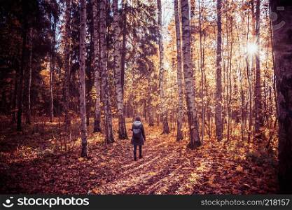 autumn forest landscape yellow leaves lie on the ground, various plants, the girl looks at the forest