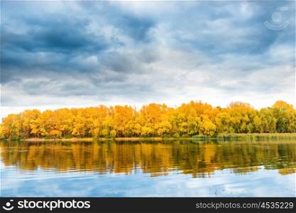 Autumn forest on river bank with orange trees