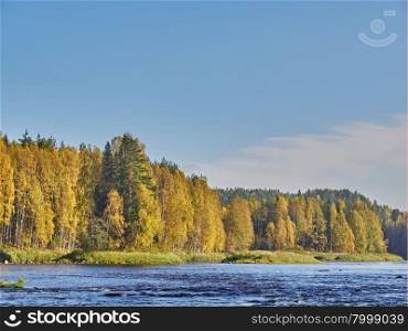 Autumn forest on the bank of the river