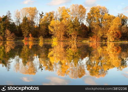 Autumn forest reflected in the lake at sunset