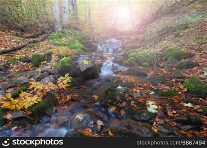 Autumn forest small waterfall