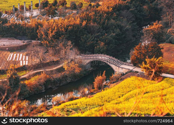 Autumn forest with old bridge