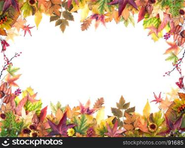 Autumn Frame of Leaves, Berries, Flowers and Pumpkins of Orange, Yellow and Red Colors on the White Background