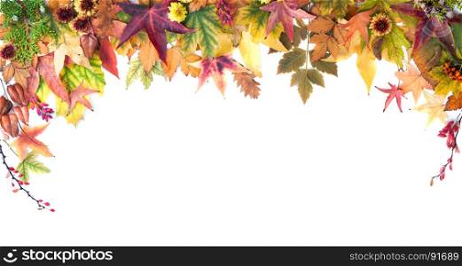 Autumn Frame of Leaves, Berries, Flowers and Pumpkins of Orange, Yellow and Red Colors on the White Background