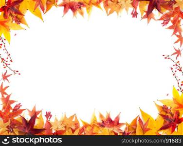 Autumn Frame of maple Leaves and Barberries of Orange, Yellow and Red Colors on the WhiteBackground