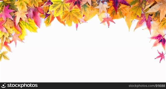 Autumn Frame of Red, Yellow and Green Maple Leaves on the White Background