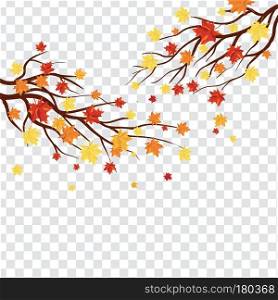 Autumn  Frame With Falling  Maple Leaves on transparency  alpha  grid background. Vector illustration.