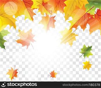 Autumn  Frame With Falling  Maple Leaves on transparency  alpha  grid background. Vector illustration.