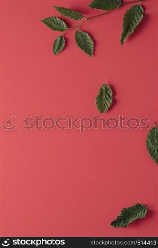 Autumn frame with leaves falling from a tree branch on a coral colored background. Above view of fall composition.