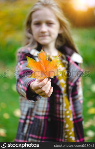 autumn - fun girl holds a red leaf