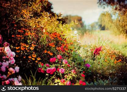 Autumn garden background with various fall flowers