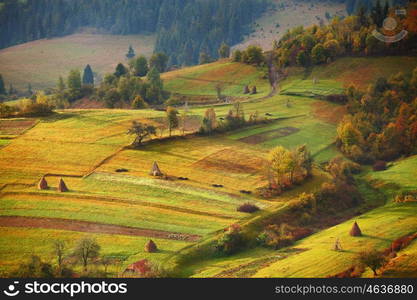 Autumn garden in Carpathian mountains. Orchard on the fall hills