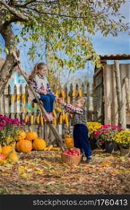 Autumn gathering apples on the farm. Children collect fruit in the basket. Outdoor fun for kids. Autumn harvest of apples, pumpkins.. Autumn gathering apples on the farm. Children collect fruit in the basket. Outdoor fun for kids.