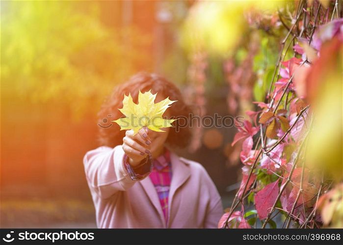 autumn - girl holds a yellow maple leaf