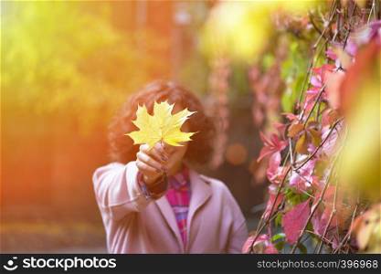 autumn - girl holds a yellow maple leaf