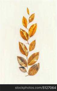 Autumn gold leaves composing, flat lay, ear shape, top view