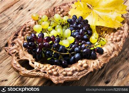 autumn grapes on tray. Bunches of ripe autumn grapes on retro tray