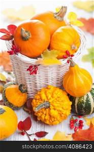 autumn halloween decorative pumpkins in basket