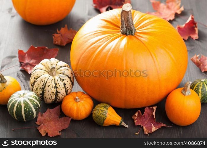 autumn halloween pumpkins on wooden background