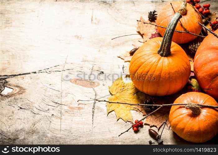 Autumn harvest. Fresh pumpkin with leaves and branches. On wooden background.. Autumn harvest. Fresh pumpkin with leaves and branches.
