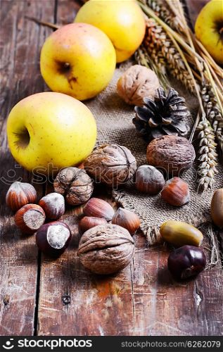 autumn harvest of apples in still life with nuts,ears of wheat and pine cones