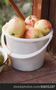 Autumn harvest of apples in white plastic bucket