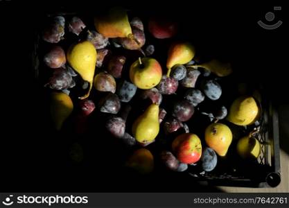 Autumn Harvest Of Fruit and Sunrays