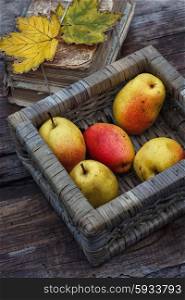 Autumn harvest of pears. Ripe pears in wicker basket on the background of stack of old books