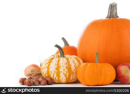 Autumn harvest on white. Autumn harvest still life with pumpkins, wheat ears, hazelnuts, garlic, onion and apples isolated on white background