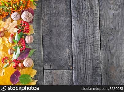 autumn harvest on wooden background,autumn background
