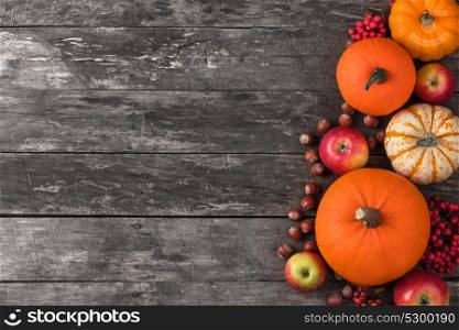 Autumn harvest on wooden table. Autumn harvest still life with pumpkins, apples, hazelnuts and rowanberry on wooden background, top view