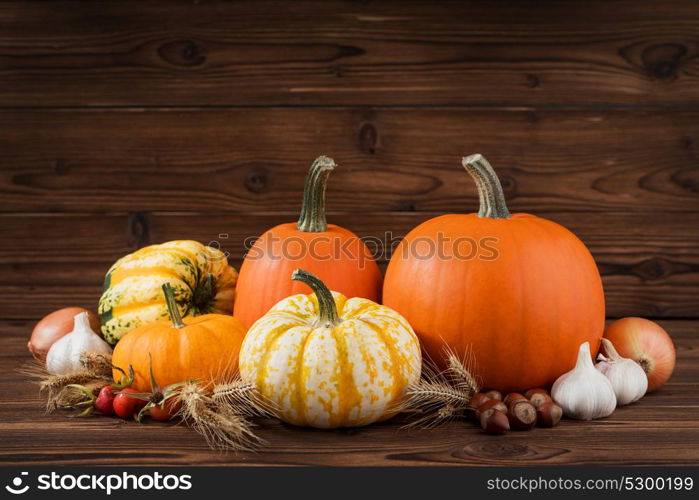 Autumn harvest on wooden table. Autumn harvest still life with pumpkins, wheat ears, hazelnuts, garlic, onion and rosehip berries on wooden background