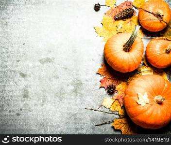 Autumn harvest. Pumpkins with autumn leaves. On the stone table.. Pumpkins with autumn leaves.