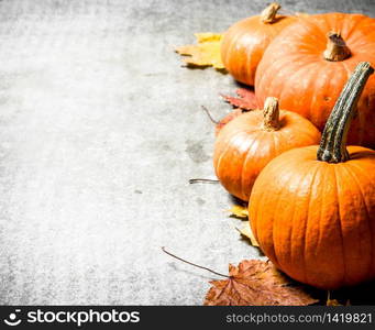 Autumn harvest. Pumpkins with autumn leaves. On the stone table.. Pumpkins with autumn leaves.