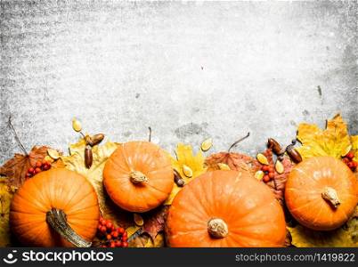 Autumn harvest. Pumpkins with autumn leaves. On the stone table.. Pumpkins with autumn leaves.