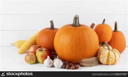 Autumn harvest still life with pumpkins , apples , hazelnut , corn , ginger , onion and cinnamon on white wooden background. Autumn harvest on wooden table