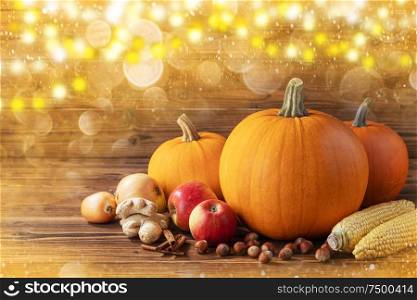 Autumn harvest still life with pumpkins , apples , hazelnut , corn , ginger , onion and cinnamon on wooden background and golden bokeh. Autumn harvest on wooden table