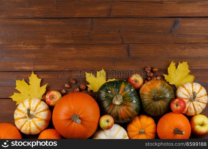 Autumn harvest still life with pumpkins , apples , hazelnuts and dry maple leaves on wooden background , top view. Autumn harvest on wooden table