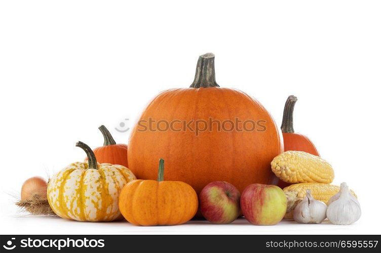Autumn harvest still life with pumpkins , wheat ears , apples , garlic , onion isolated on wooden background. Autumn harvest on white