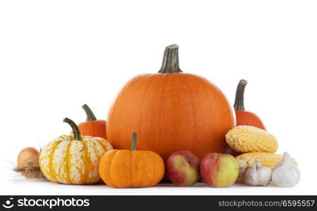 Autumn harvest still life with pumpkins , wheat ears , apples , garlic , onion isolated on wooden background. Autumn harvest on white