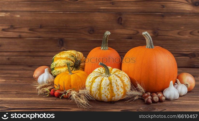 Autumn harvest still life with pumpkins , wheat ears , hazelnuts , garlic , onion and rosehip berries on wooden background. Autumn harvest on wooden table