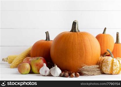 Autumn harvest still life with pumpkins, wheat ears, hazelnuts, garlic, onion and rosehip berries on wooden background. Autumn harvest on wooden table