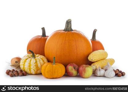 Autumn harvest still life with pumpkins, wheat ears, hazelnuts, garlic, onion, corn and apples on wooden background. Autumn harvest on white