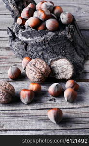 Autumn harvest walnuts and hazelnuts on wooden background. walnuts with hazelnuts