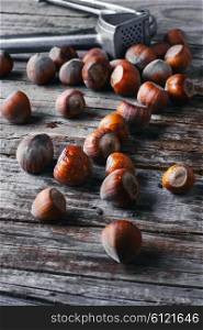 Autumn harvest walnuts and hazelnuts.Photo tinted. nutcracker with hazelnuts