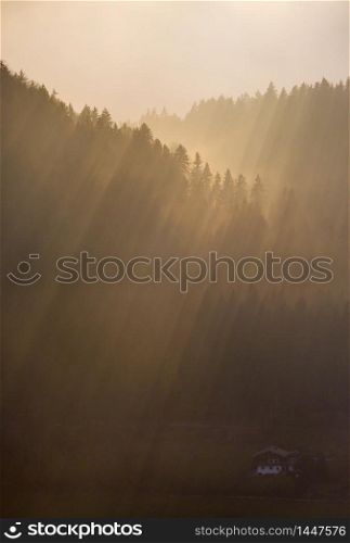 Autumn hazy day mountain forest silhouettes and sunrays in contra light view. Climate, environment and weather concept sky background.