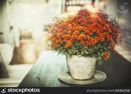 Autumn home flowers decoration in vase on table in living room