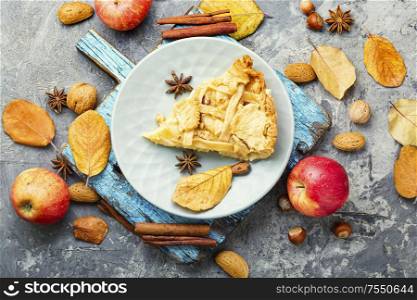 Autumn homemade pie with ripe apples.American pie.. Slice of apple pie